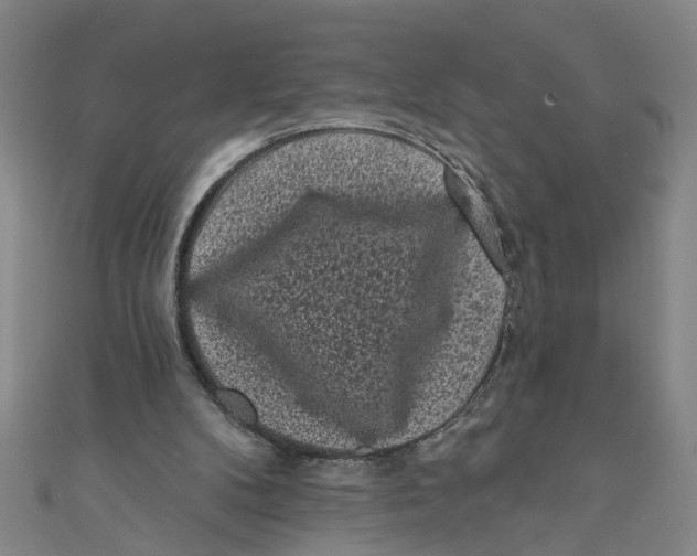 X0000110940104200907101255