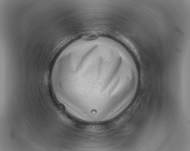 X0000110940105200907101255