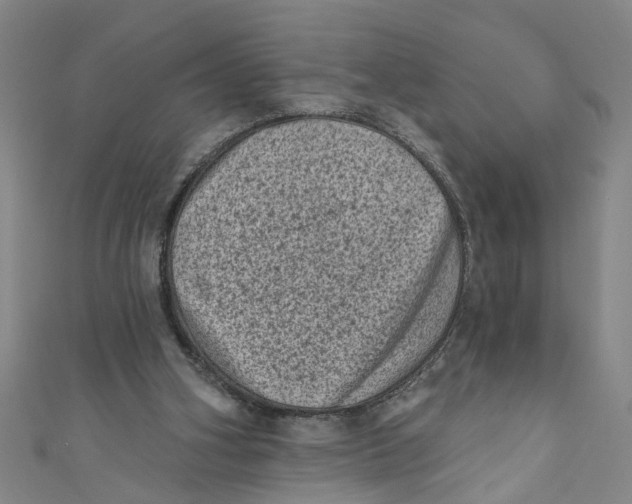 X0000110940106200907101255