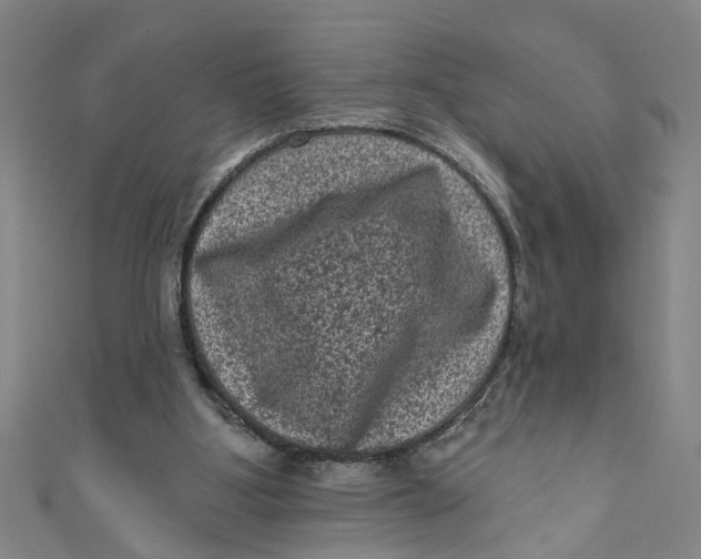 X0000110940107200907101255