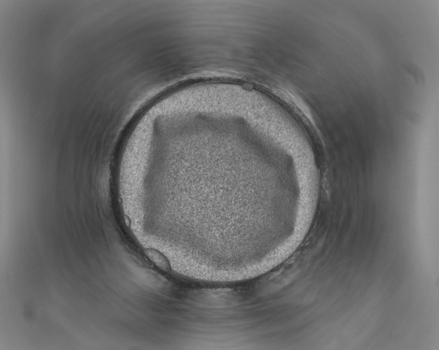 X0000110940108200907101255
