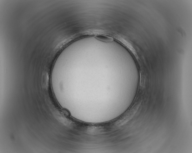 X0000110940109200907101255