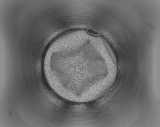 X0000110940112200907101255