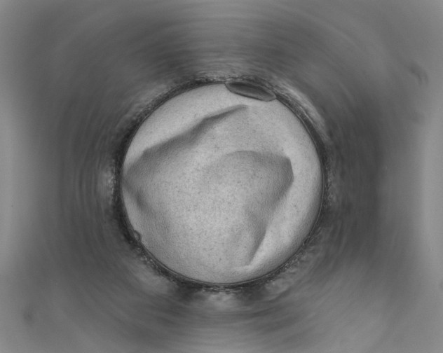 X0000110940113200907101255