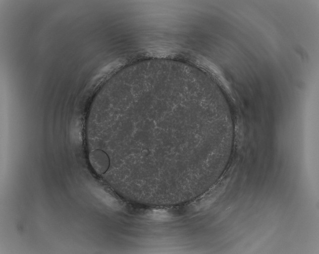 X0000110940114200907101255