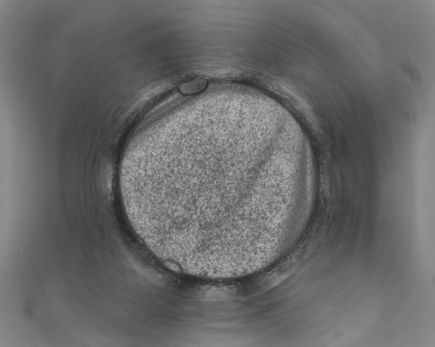 X0000110940115200907101255