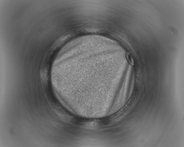 X0000110940116200907101255