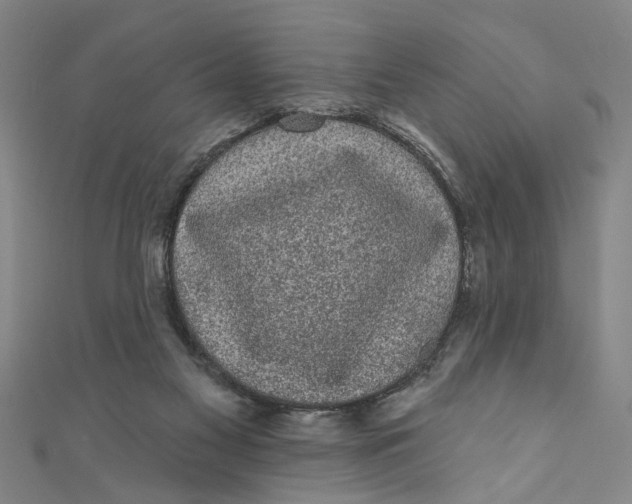 X0000110940117200907101255