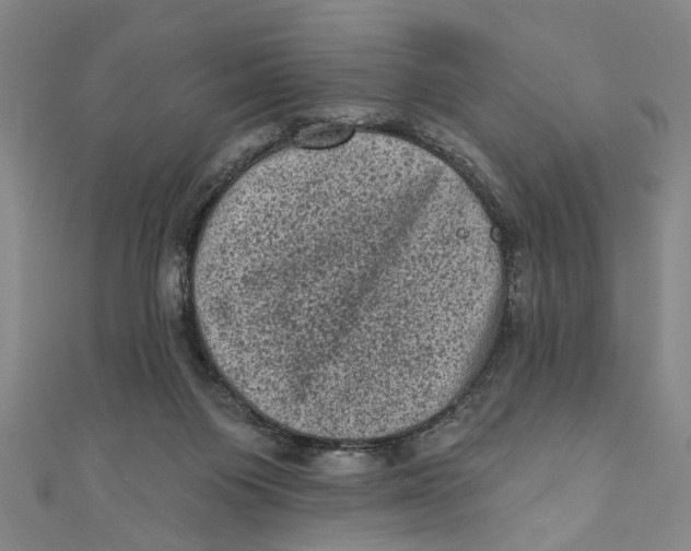 X0000110940119200907101255