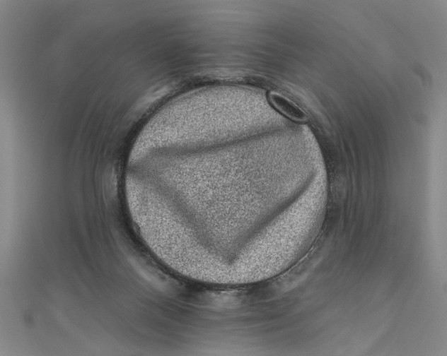 X0000110940120200907101255