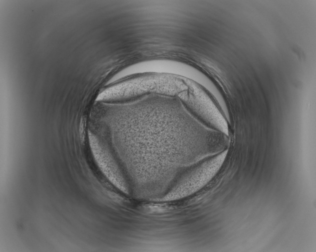 X0000110940121200907101255