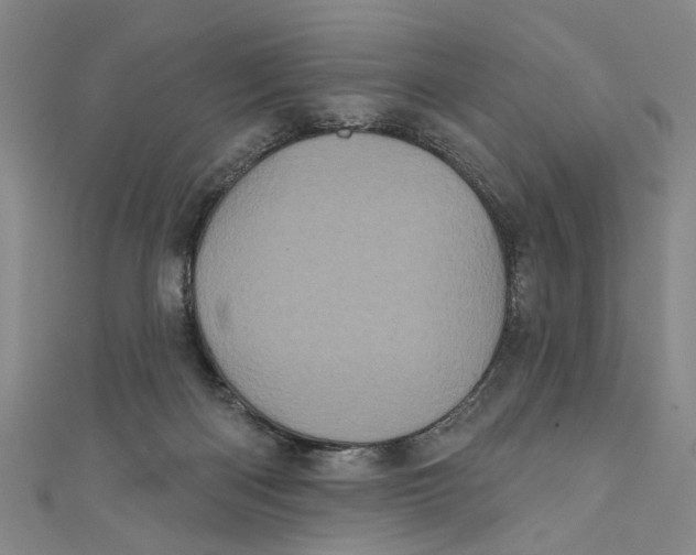 X0000110940122200907101255