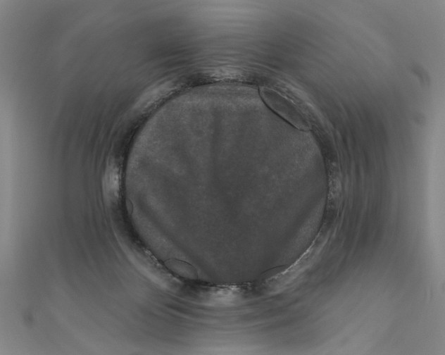 X0000110940124200907101255