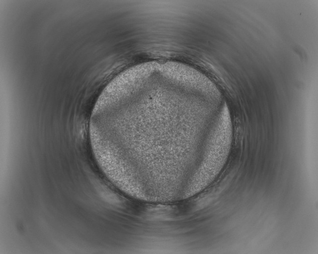 X0000110940125200907101255