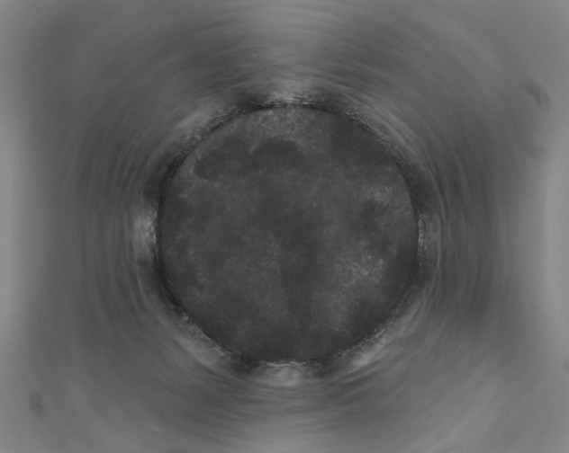 X0000110940127200907101254