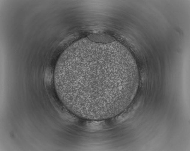 X0000110940129200907101254