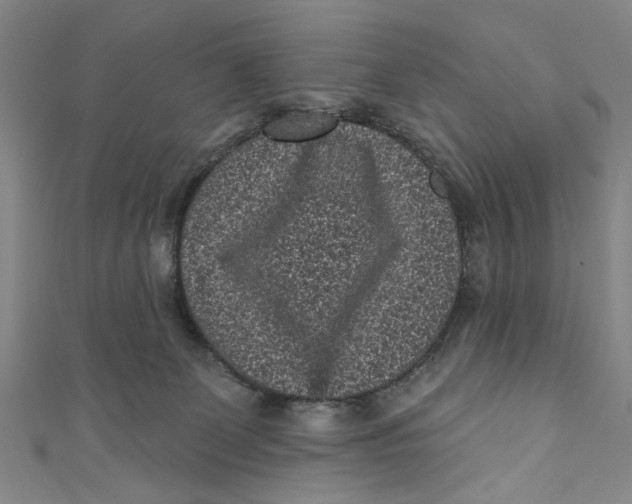 X0000110940131200907101254