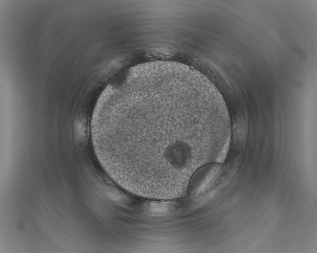 X0000110940134200907101254