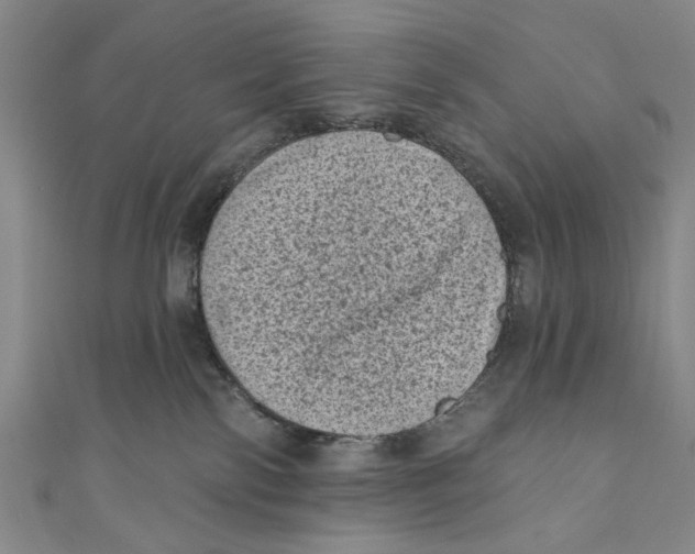 X0000110940138200907101254