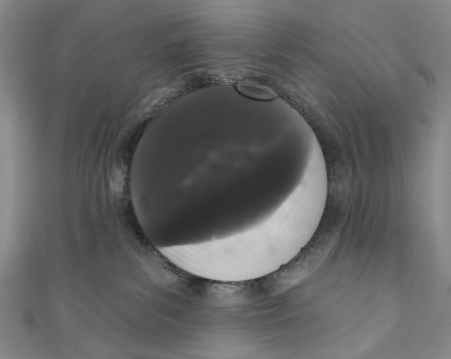 X0000110940139200907101254
