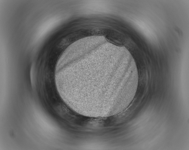 X0000110940140200907101254