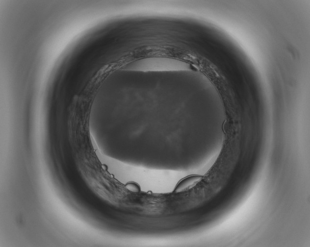 X0000110940143200907101254