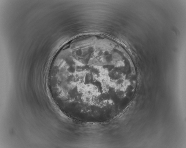 X0000110940145200907101253