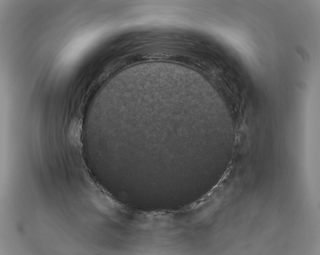 X0000110940146200907101253