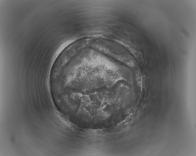 X0000110940147200907101253