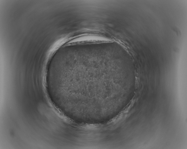 X0000110940149200907101254