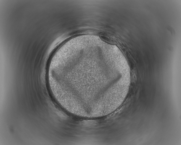 X0000110940150200907101254