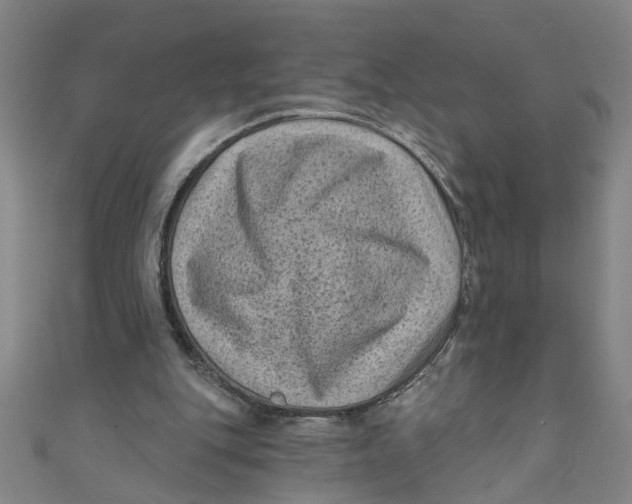 X0000110940151200907101254