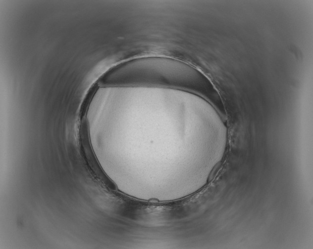 X0000110940152200907101254