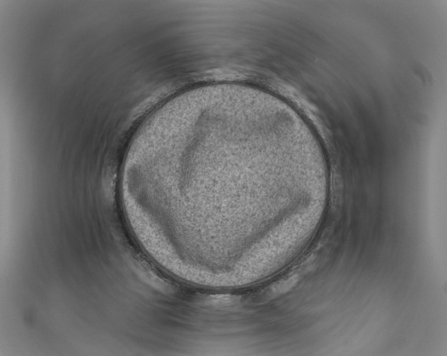 X0000110940153200907101254