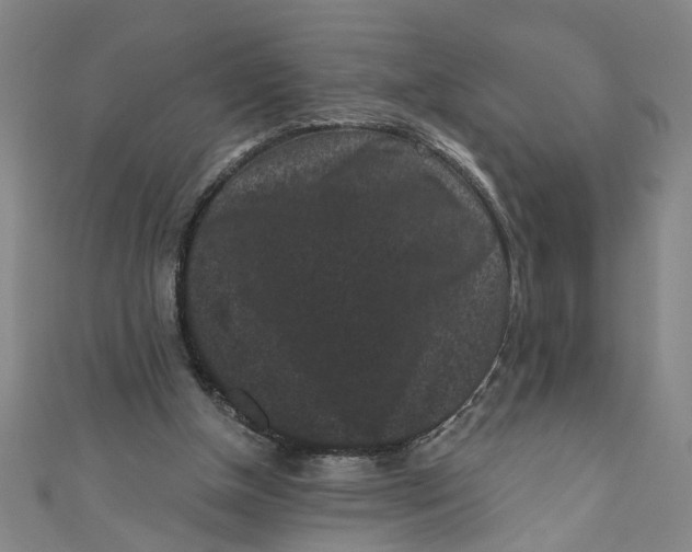 X0000110940154200907101254