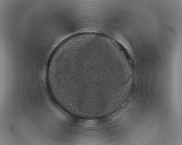 X0000110940156200907101254