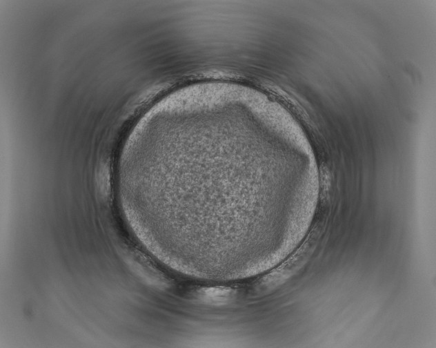 X0000110940158200907101254