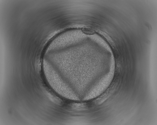X0000110940160200907101254