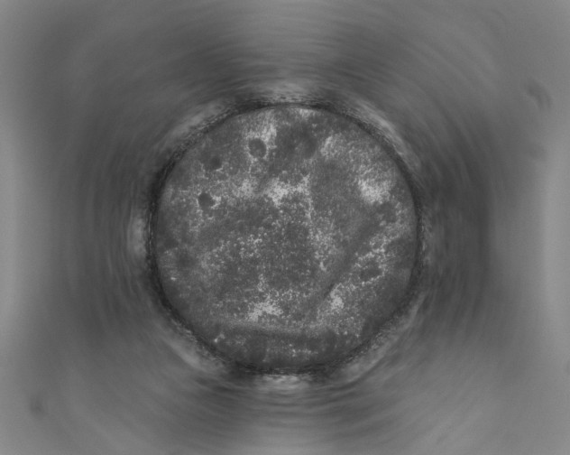 X0000110940161200907101254