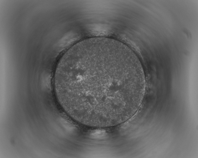 X0000110940162200907101254