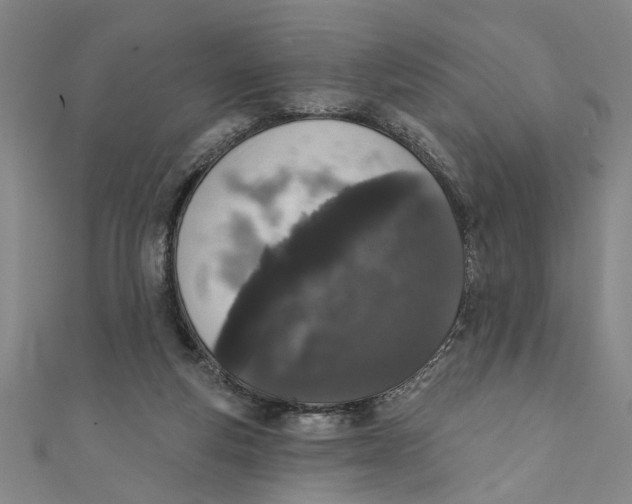 X0000110940163200907101254