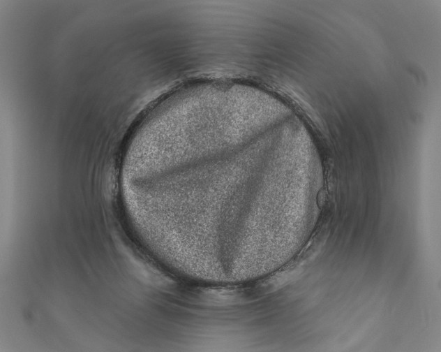 X0000110940164200907101254