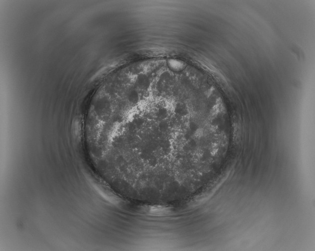 X0000110940165200907101254