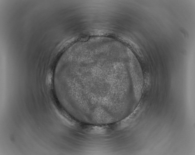 X0000110940166200907101254