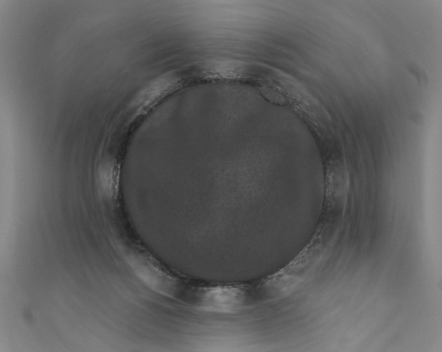 X0000110940168200907101254