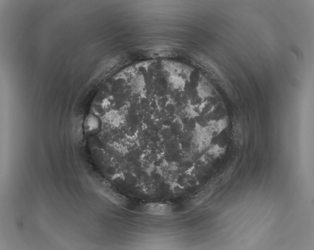 X0000110940169200907101254
