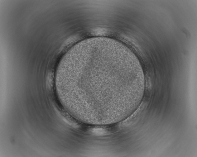 X0000110940171200907101254