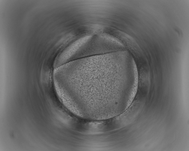 X0000110940172200907101254