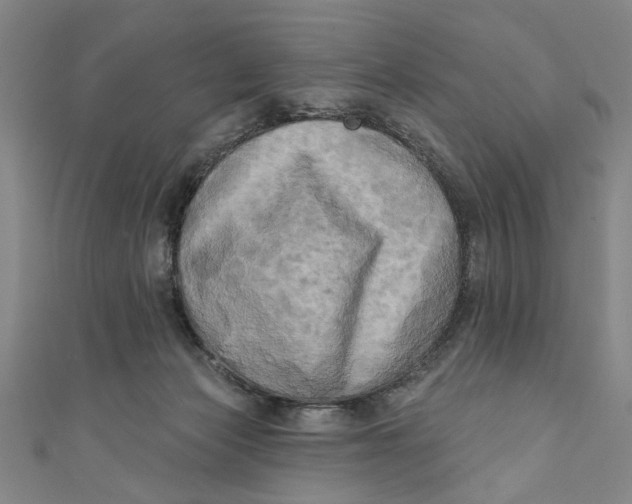 X0000110940173200907101254