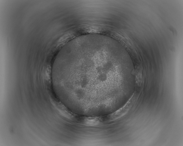 X0000110940175200907101254